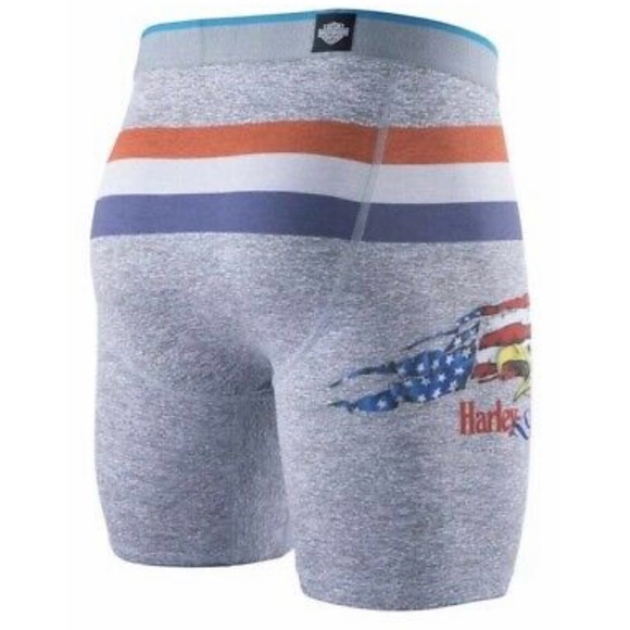 Stance Harley Davidson Home Grown Boxer Briefs - Picture 5 of 7